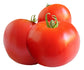 Tomato - Glacier Seeds ORG - Sandia Seed Company