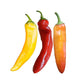 Hot Hungarian Wax Pepper Seeds