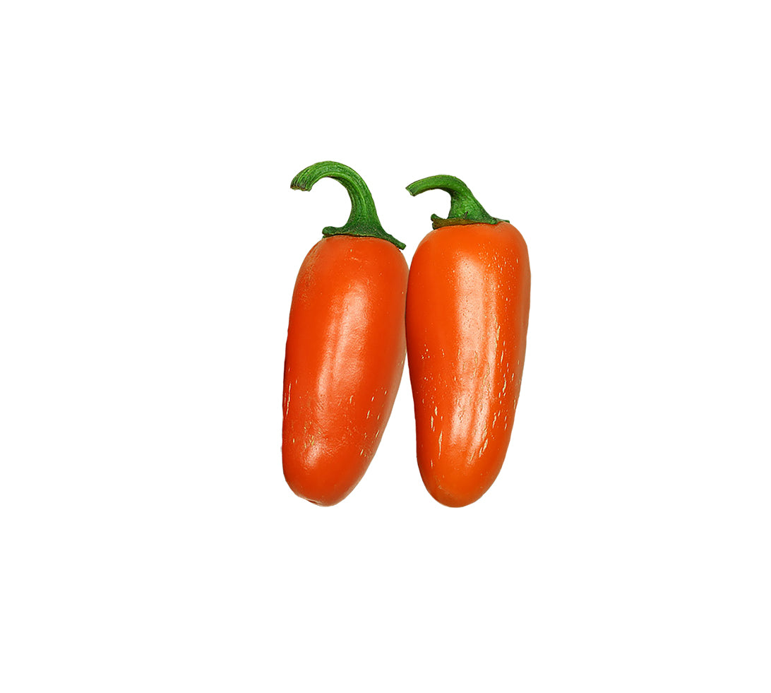 Jalapeño Orange Spice NuMex Seeds - Sandia Seed Company