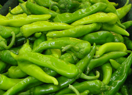 Hatch Green X-Hot Lumbre Chile Seeds - Sandia Seed Company