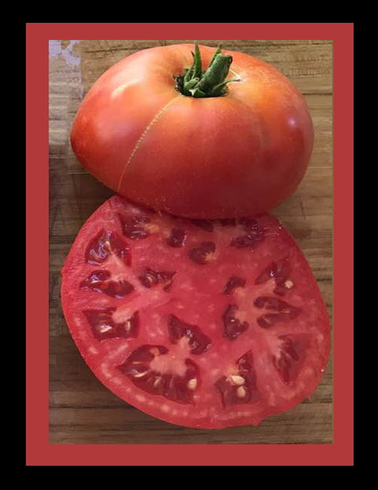 Tomato - Mortgage Lifter Heirloom Seeds - Sandia Seed Company