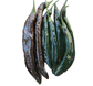 Pasilla Bajio / Chilaca Chile Seeds - Sandia Seed Company