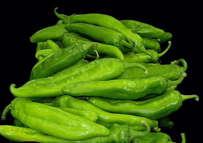 3 Pack - Big Jim, Sandia Select & Barker's Hot - Green Chile Seeds -15% Off