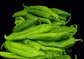 3 Pack - Big Jim, Sandia Select & Barker's Hot - Green Chile Seeds -15% Off
