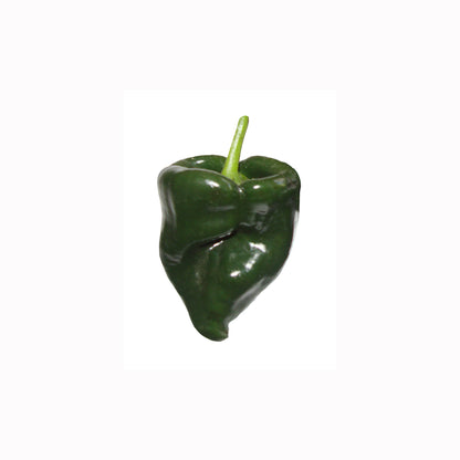 Mexican Flavors/Holy Trinity 3 Pack - Guajillo, Pasilla & Poblano Seeds 15% Off