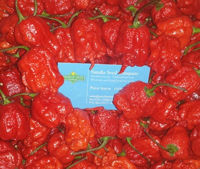 Carolina Reaper Seeds - Sandia Seed Company