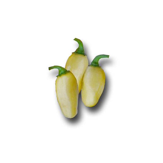 Habanero White Peruvian Lightning Pepper Seeds - Sandia Seed Company